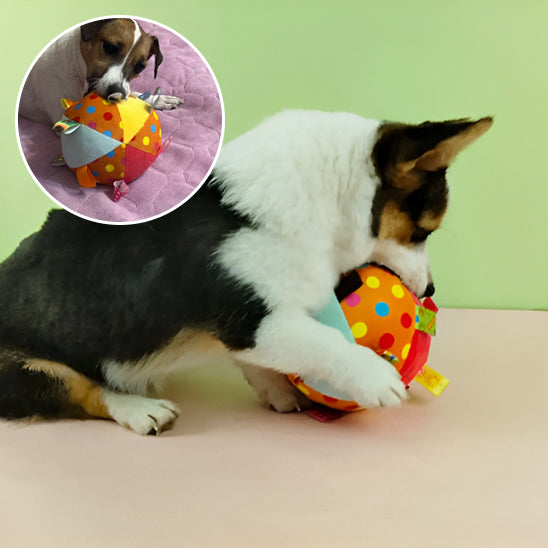 Jouet_pour_chien