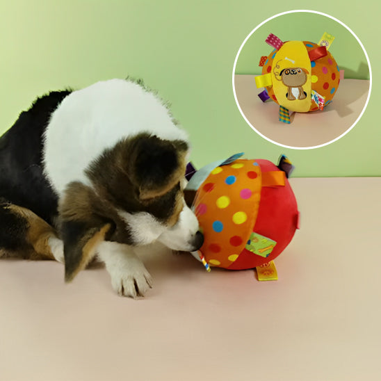 Jouet_pour_chien_indestructible