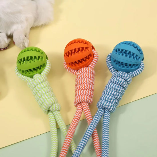 jouets pour chiots