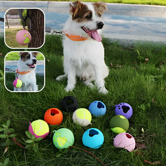 Jouets_Kong_pour_chien