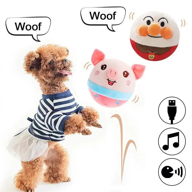 Jeux pour Chien