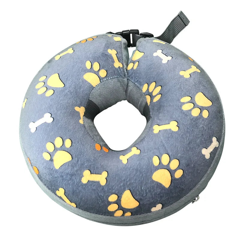 collier chien de dressage