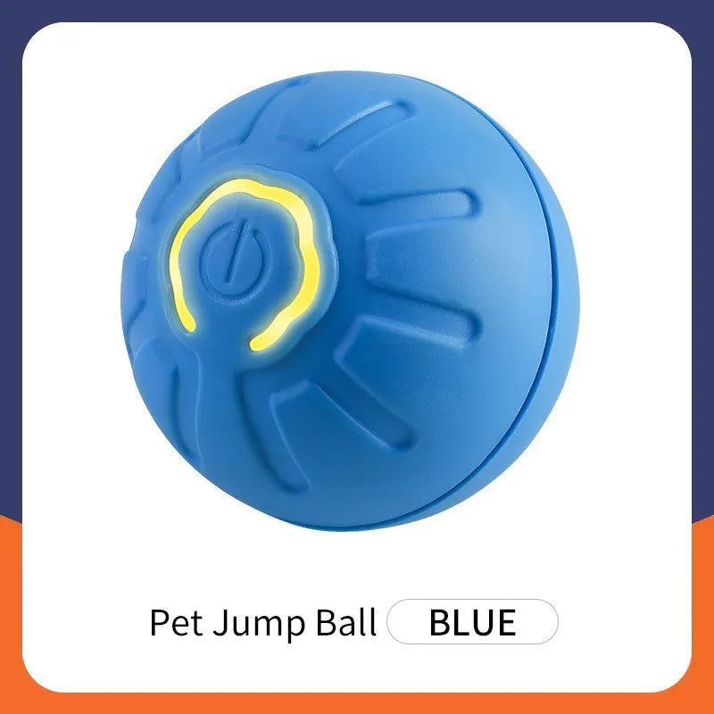 Ball pour chien