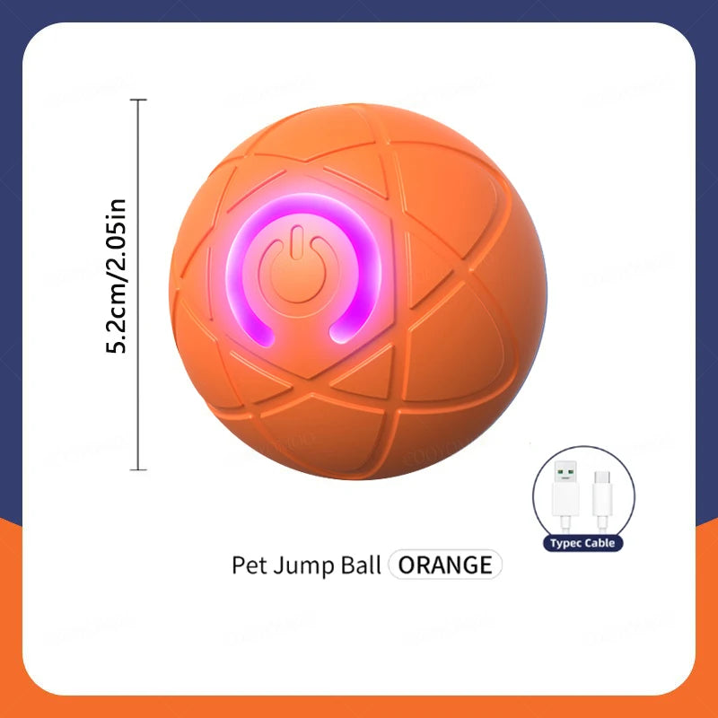 Ball pour chien