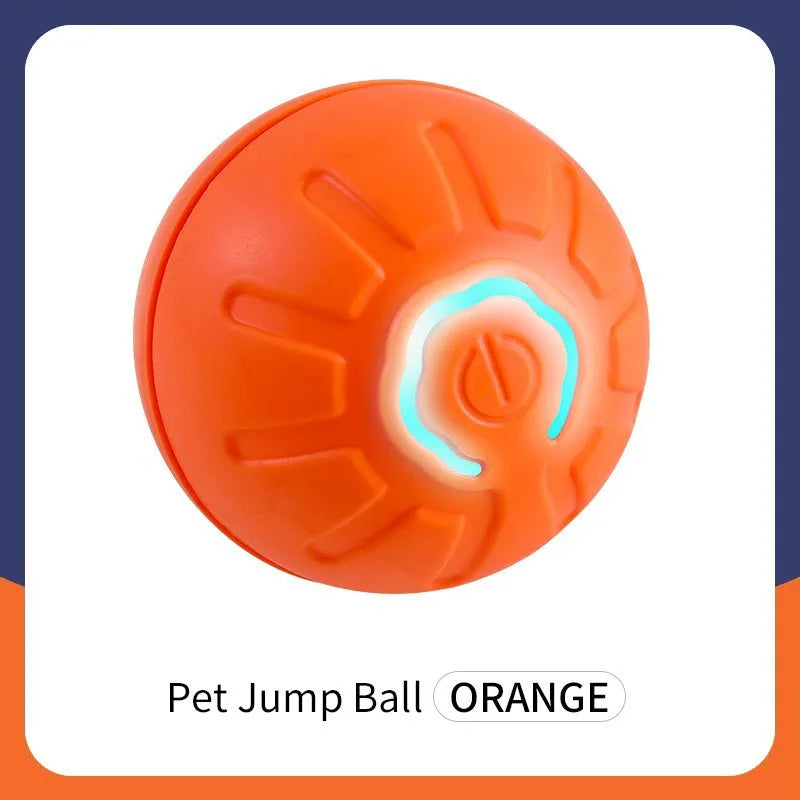 Ball pour chien