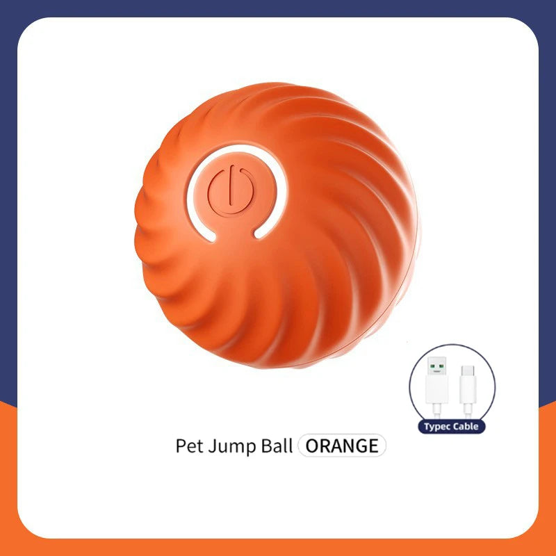 Ball pour chien