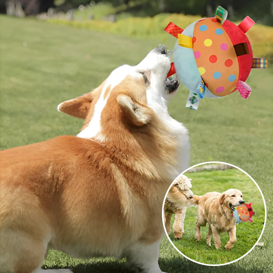 balle_pour_chien
