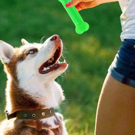 Jouet Pour Chien Indestructible