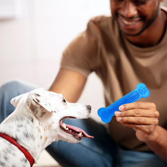 Jouet Pour Chien Indestructible