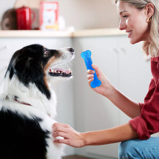 Jouet Pour Chien Indestructible