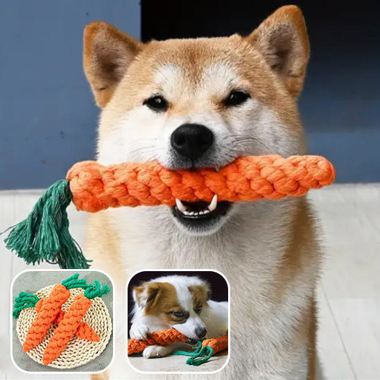 Jouet Pour Chien Indestructible