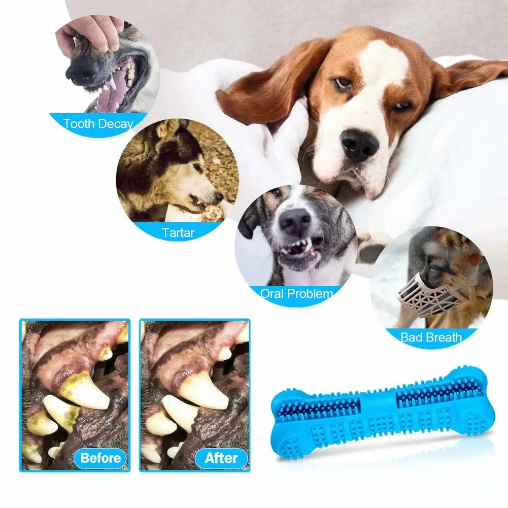 jouets pour chiens