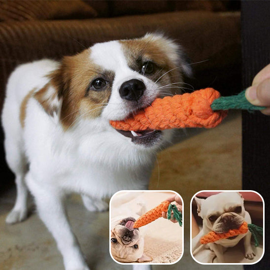 Jouet Pour Chien Indestructible