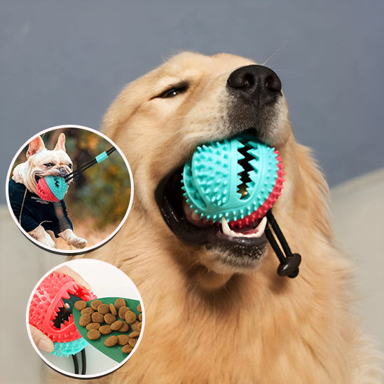 Ball pour chien