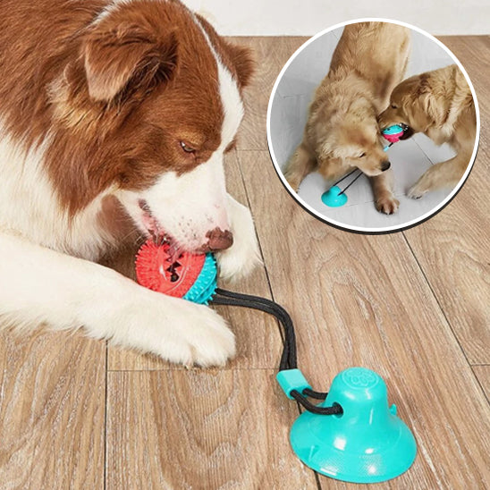 Chien Interactif