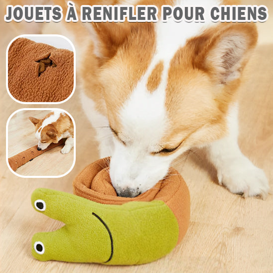 Chien_Jouet_Kong