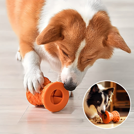 Jouet pour Chien   |   PetFoodToy™