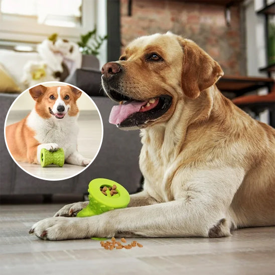 Jouet pour Chien   |   PetFoodToy™