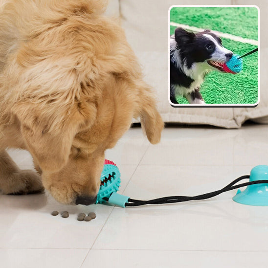 Jouet Pour Chien Indestructible