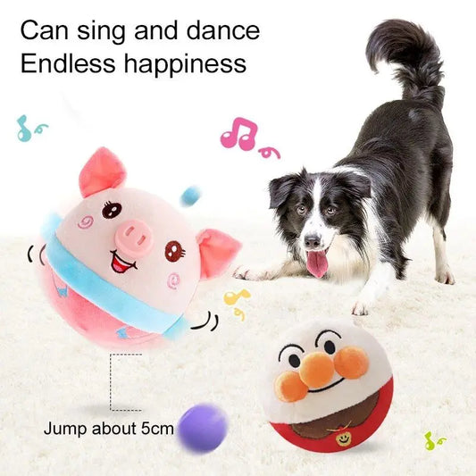 Animal Interactif
