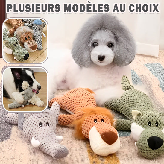 Jouet_pour_chien