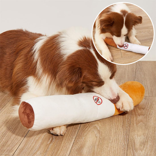 Kong Jouet pour Chien | DogBluntPlushie™