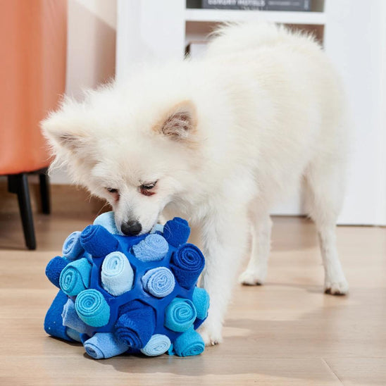 jouets pour chiots