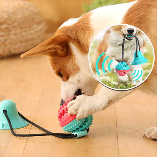 Jouets pour Chien