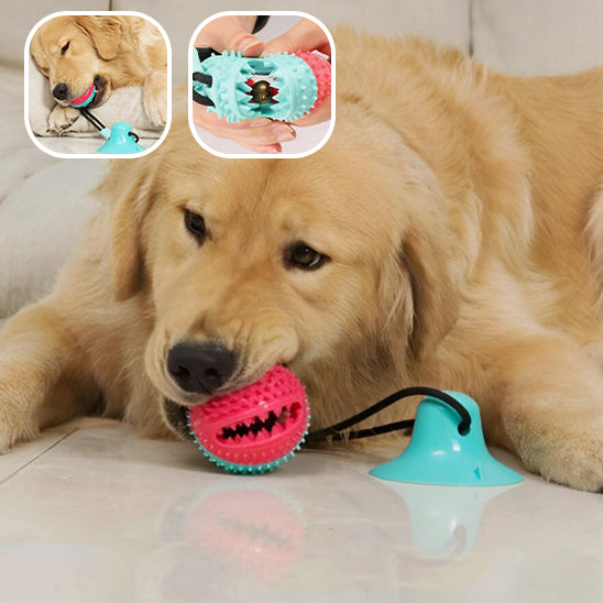 Jouets pour Chien