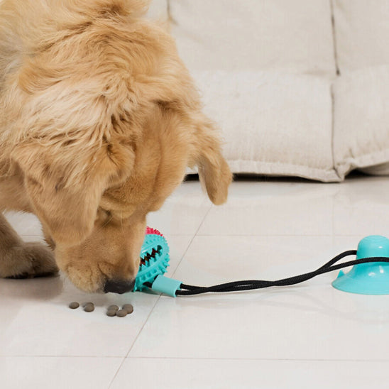 Jouets pour Chiens