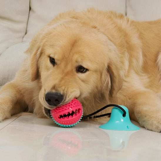 Jouets pour Chiens