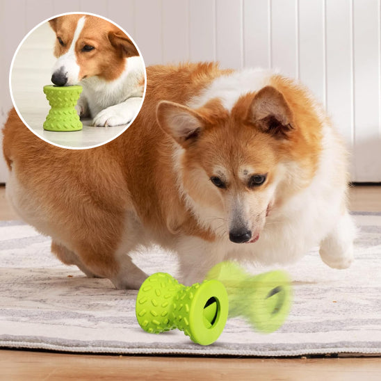 Jouet pour Chien   |   PetFoodToy™