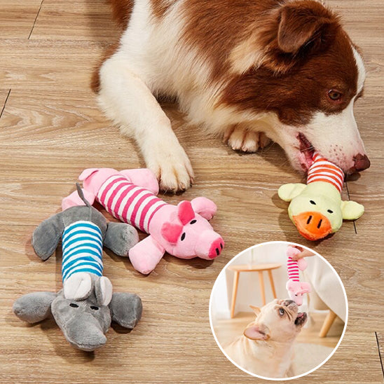 Peluche pour chien
