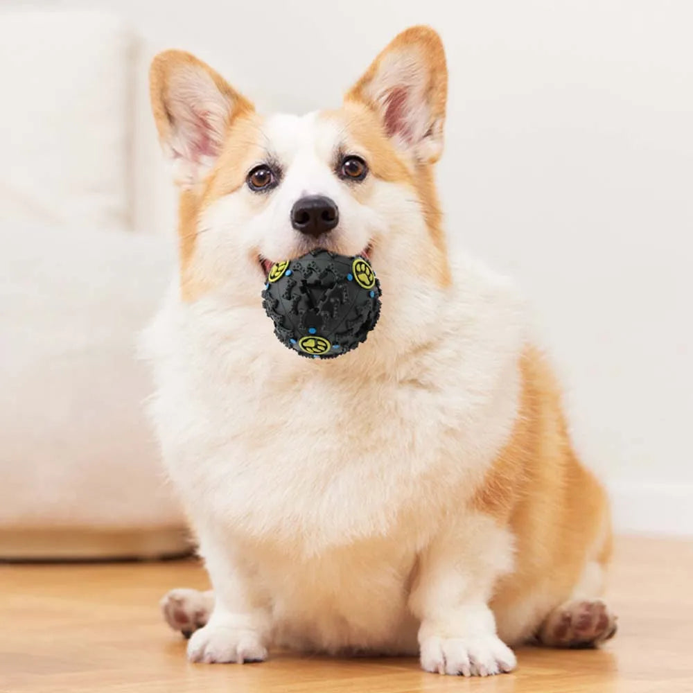 Chien Interactif