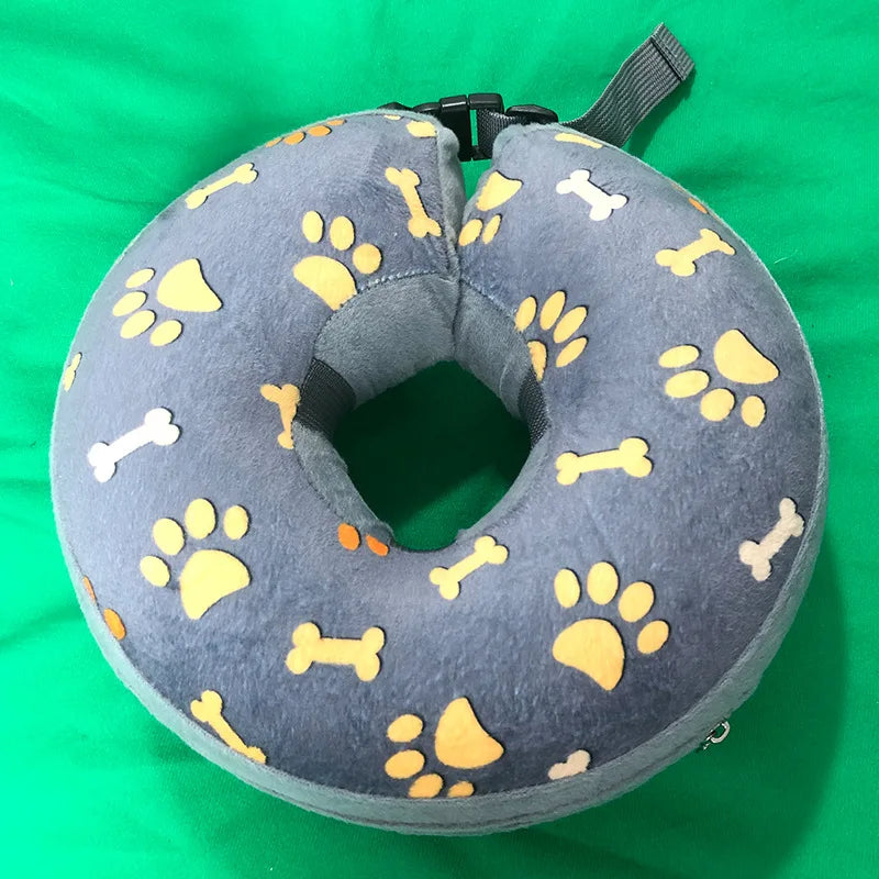 collier chien de dressage