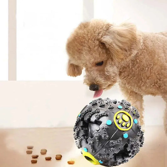 Jeux pour Chien