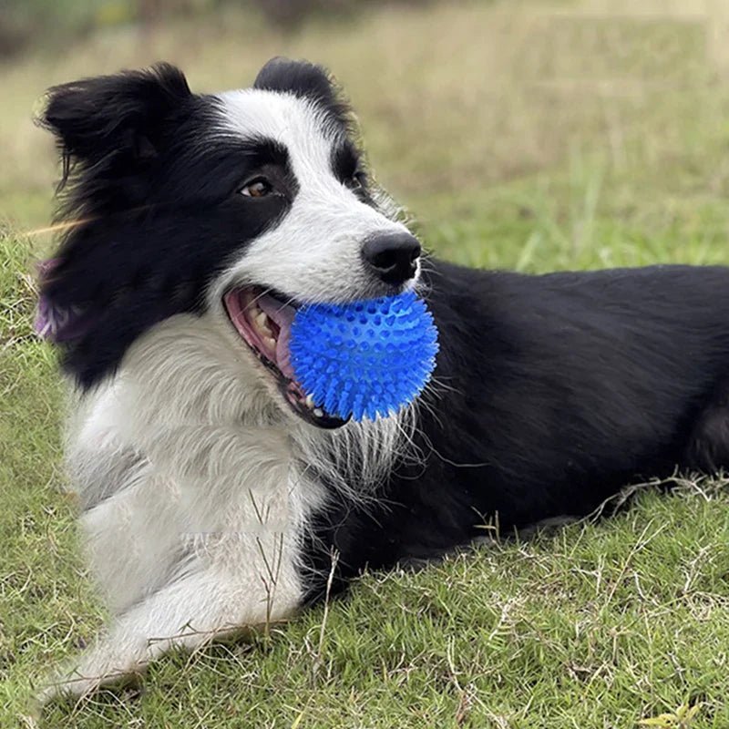 Balle pour Chien - BiteResistantBall™ - Bleu - Paw Paradise Zone