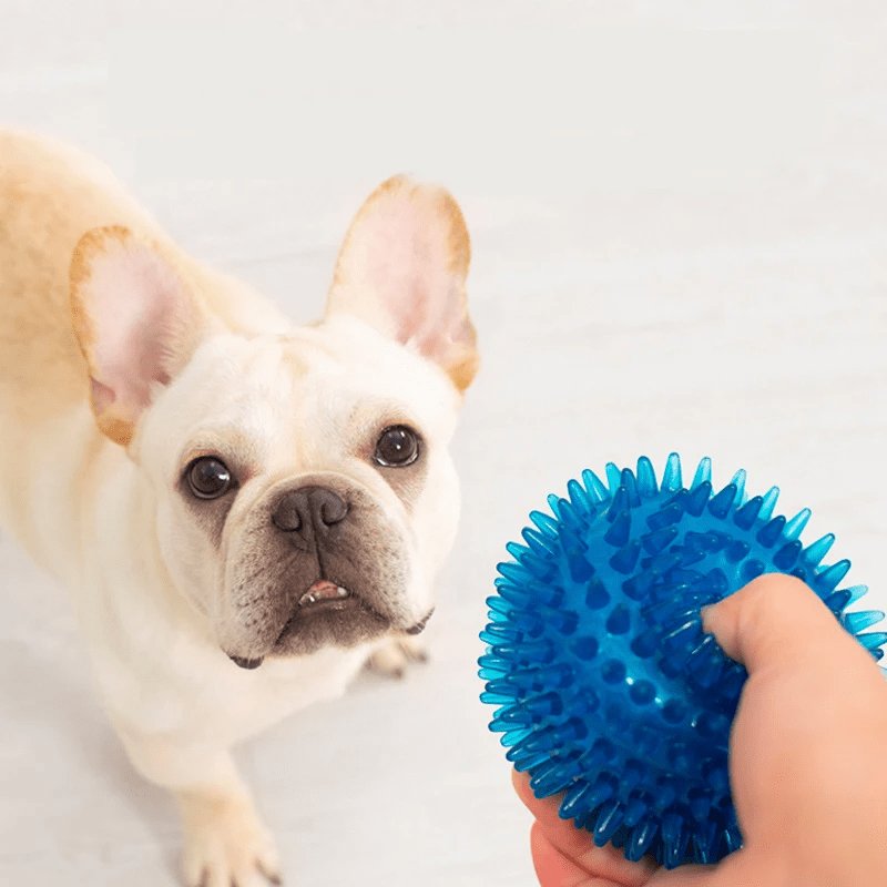 Balle pour Chien - BiteResistantBall™ - Bleu - Paw Paradise Zone