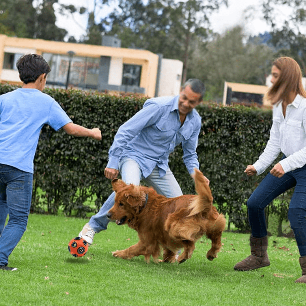 Balle pour chien - DogChewBall™ - Orange - Paw Paradise Zone