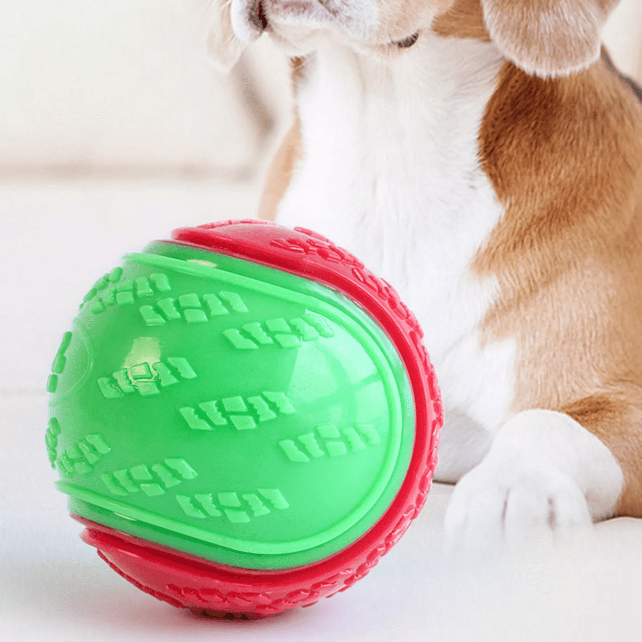 Balle pour Chien - InteractiveToys™ - Vert - Paw Paradise Zone