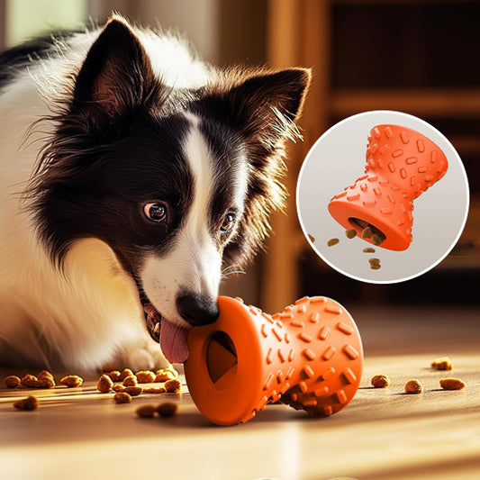 Jouet pour Chien   |   PetFoodToy™