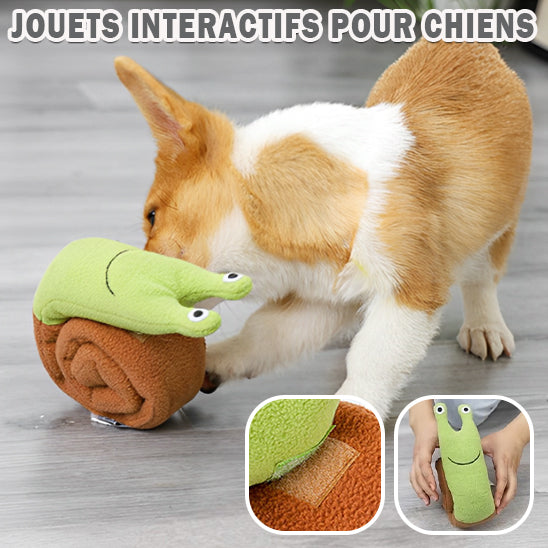 collier_chien_de_dressage