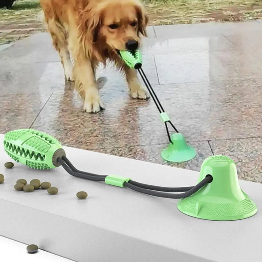 educateur canin compertementaliste