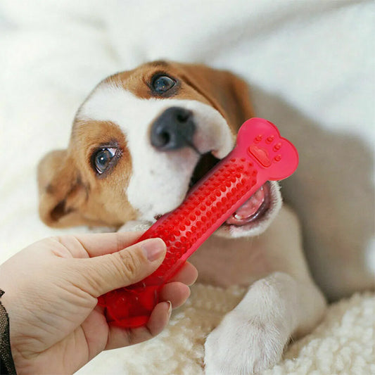 Jouet Pour Chien Indestructible