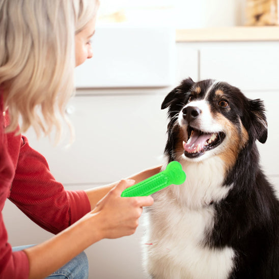 Jouet Pour Chien Indestructible