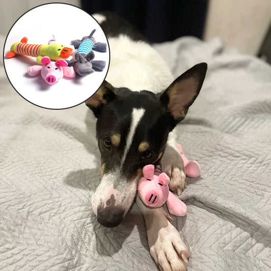 Fabriquer des jouet pour chien