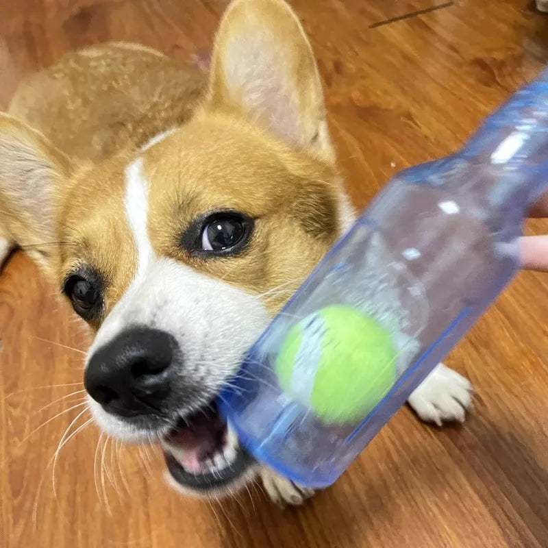 jouet kong chien