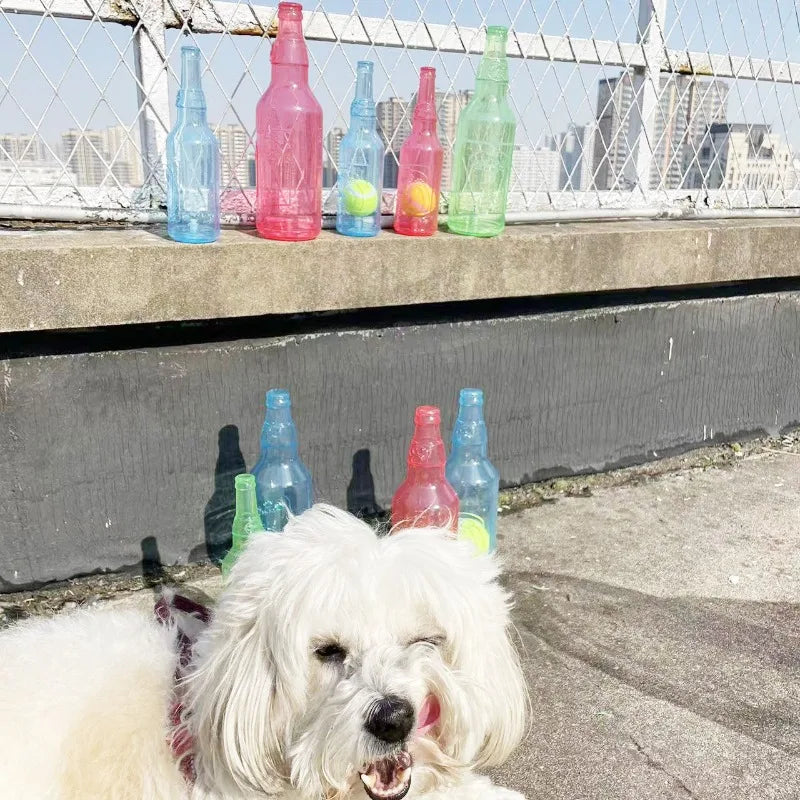 jouet kong chien
