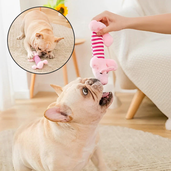 Peluche pour chien