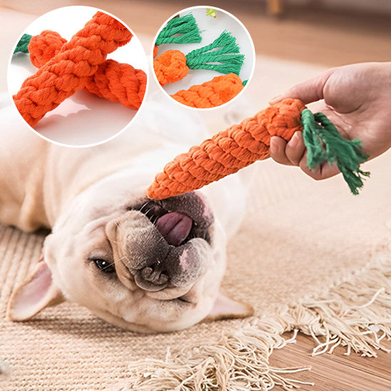 Jouet pour Chien  |   CarottePlushChew™